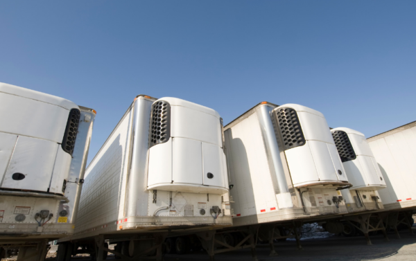refrigerated storage trailers in a row
